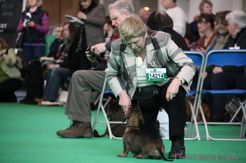 Crufts2011_2 831.jpg